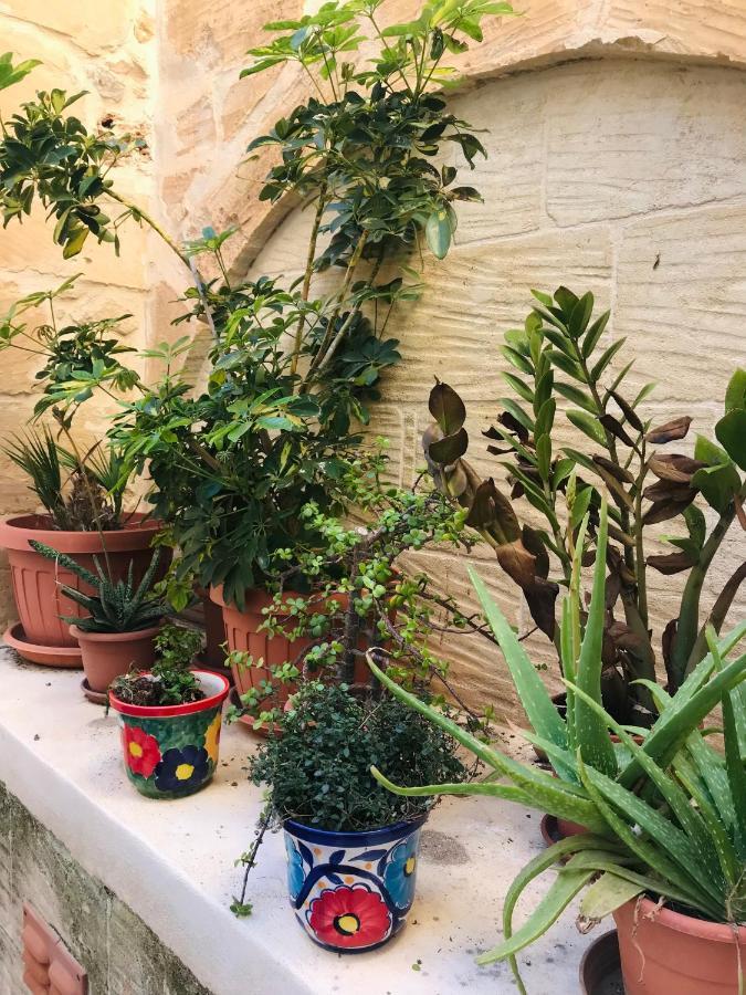250 Yo Tal-Bambinu Boutique Farmhouse Xagħra Buitenkant foto